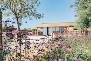 Domaine du Golfe du Lion Villa 8p