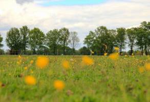 Frieden und Raum, verbringen Sie die Nacht auf unserer Weide zwi