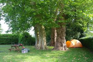 Camping unter den Platanen am Fuße der Posbank
