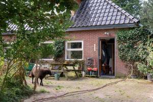 Gronings genießen Ruhe und Raum.