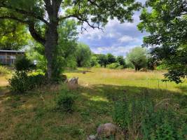 Unser wildes Grün in Kussow, Mecklenburg-Vorpommern