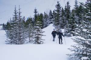 Sneeuwschoenwandeling vanuit Akureyri