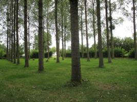 Campingplatz in Cilly, Hauts-de-France