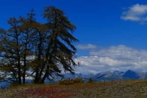 Le Chastellan Double room/Chambre Double