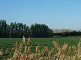 Ruhiger Aufenthalt in Avignon: Swimmingpool, jahrhundertealte Bä