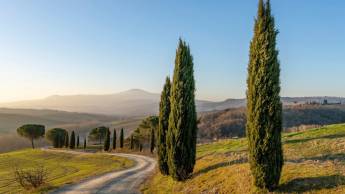 Rondreis Zuid-Tirol en Toscane