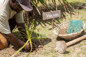 Constance Tekoma. Rodrigues