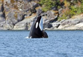 Rondreis Vancouver Island