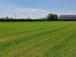 Erleben Sie die Ruhe in Kinrooi