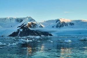 Hurtigruten MS Fridtjof Nansen expeditie Antarctica, Hoogtepunte