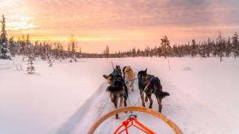 Rovaniemi: winter ervaring in Lapland