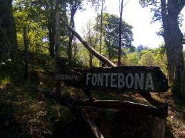 Lebe unser autarkes Leben auf Fontebona