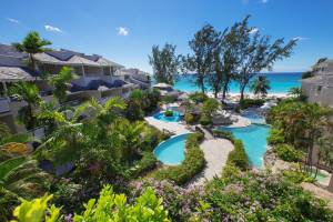 Bougainvillea Barbados