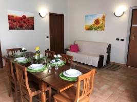 Appartment- Camelia