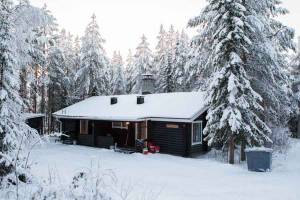 Levikoto blokhut, Levi Lapland