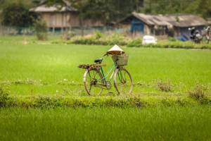 17-daagse rondreis Fair Deal Vietnam