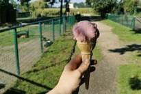 Camping Domein De Schuur