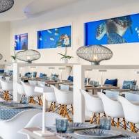 Hovima Cool Costa Adeje - adults only