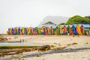 Groepsreis Beste van de Kaap