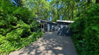 Dotterbloem Chalet | 6 personen
