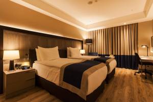 Holiday Inn Kayseri - Duvenonu by IHG