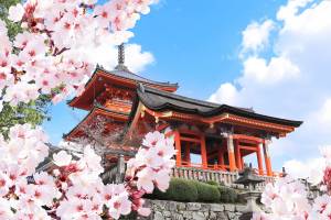 3-daags startpakket Kyoto