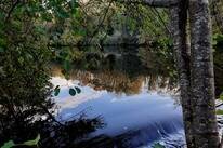 Camping Les Chambons