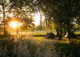 Schöner Garten in einem ruhigen Dorf unweit von Brügge; schöne N