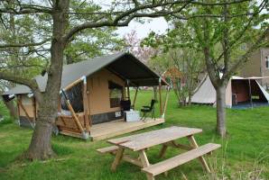 Camping zwischen Kühen und Pferden im Grünen der Randstad