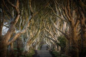 Autorondreis Game Of Thrones Noord-Ierland