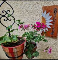Campingplatz in Ugine, Auvergne-Rhône-Alpes