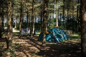 Tentkampeerplaats op de Wildenberg