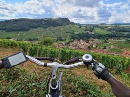 Fietsvakantie Bourgogne