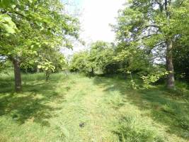 Malerisches Campen im Obstgarten