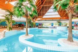 Normandy Garden 2/3p 6