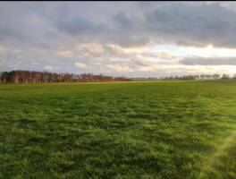 Campingplatz in Hardenberg, Overijssel