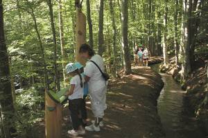 Camping Belvédère De L'obiou