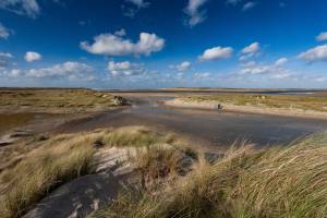 Landal Ameland State