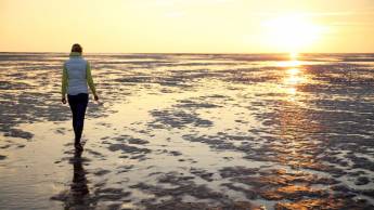 Hotel Waddengenot Pieterburen