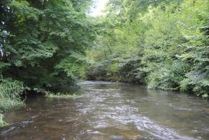 Übernachtubg im historischen Nagoldtal