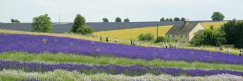 Along Great Inns in Britain