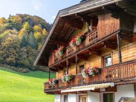 Tiroler Bergtraum Top 2