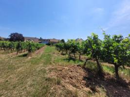 Campingplatz in INGERSHEIM, Grand Est