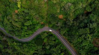 16 daagse reis Costa Rica Drive & Connect