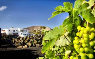 Hotel Rural Finca de la Florida