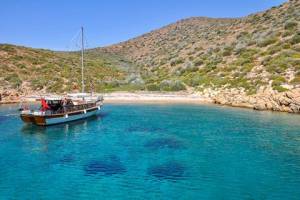 Blue Cruise & Villa Sunflower