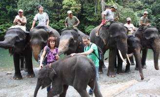 Familie rondreis 28 dagen Avontuurlijk en cultureel Sumatra, Jav