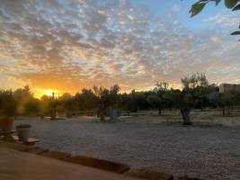 Campamento de Avontura!