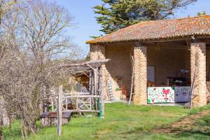 Pibounid vor den Pyrenäen