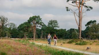 Fietsvakantie rondje Drenthe